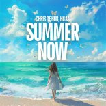 Chris De Hub and Hilaa - Summer Now