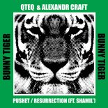 QTEQ & Alexandr Craft - Pushet (Original Mix)