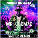 Nicco & BuLLJay - Mr. Gunman (Timster Remix Edit)