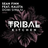 Sean Finn, Kaleta - Domi Siwaju (Extended Mix)