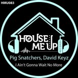 Pig Snatchers - I Ain't Gonna Wait No More (Extended Mix)