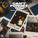 LUM!X Feat. Lucas & Steve - Can't Forget You