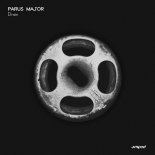 Parus Major - Lost Mind (Original Mix)