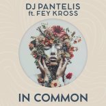 DJ Pantelis, Fey Kross - In Common (Radio Mix)