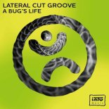 Lateral Cut Groove - A Bug's Life (Original Mix)