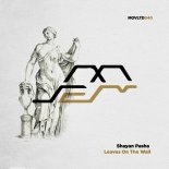 Shayan Pasha - Leaves on the Wall (Original Mix)