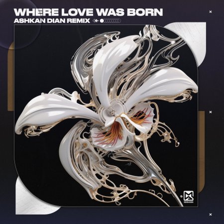 Ashkan Kooshan - Where Love Was Born (Ashkan Dian Remix)