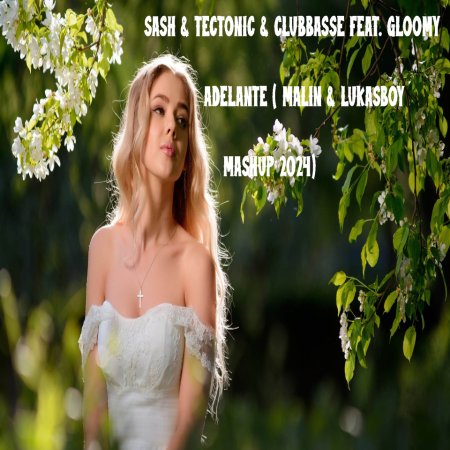 SASH & TECTONIC & CLUBBASSE FEAT. GLOOMY - ADELANTE ( MALIN & LUKASBOY MASHUP 2024 )