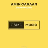 Amin Canaan - Dream in Color (Extended Mix)