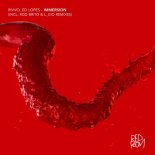 RIVVO, Ed Lopes - Immersion (Rod Brito Remix)