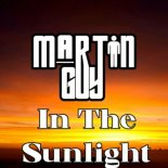 Martin Guy - In the Sunlight