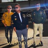Diadem - Wodospad (Radio Edit)