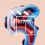 Audio Junkies - Aspects of Rhythm (Original Mix)