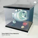 Tomy Wahl & Terra Melodica - Static Serenity (Original Mix)