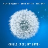Oliver Heldens & David Guetta Feat. FAST BOY- Chills (Feel My Love)