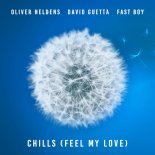 Oliver Heldens & David Guetta Feat. FAST BOY- Chills (Feel My Love) (Extended Mix)