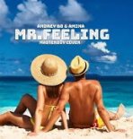 Andrey Bo & Amina - Mr.Feeling (Masterboy Cover)