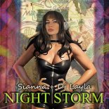 Sianna & DJ Layla feat. Radu Sirbu - Night Storm