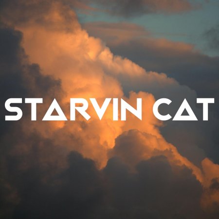 STARVIN CAT - Making You Dance 67 (31.7.24)