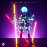 Pulsedriver & Chris Deelay - What A Feeling