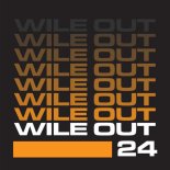 DJ Zinc & Ms. Dynamite - Wile Out
