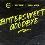 HBz & Jerome Feat. Robin White - Bittersweet Goodbye