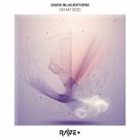 David Blackstorm - Sparkling Light (Original Mix)