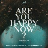 R3HAB, 希林娜依高, Crazy Donkey - Are You Happy Now