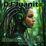 DJ Juanito - Now or Never (Love Tension Mix)