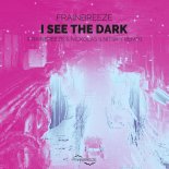 Frainbreeze - I See The Dark (Frainbreeze & Nickolas Ilnitskiy Remix)