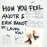 ANOTR & Erik Bandt feat Leven Kali - How You Feel (Original Mix)