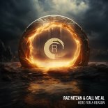 Raz Nitzan & call me AL - Here For A Reason