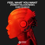 Floris van Oranje - Feel What You Want (Robert Falcon Extended Remix)