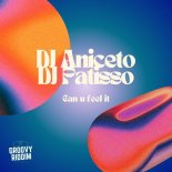 DJ Aniceto, DJ Patisso - Can U Feel It