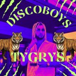 Discoboys - Tygrys