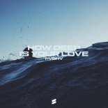 PVSHV - How Deep Is Your Love