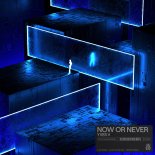 Yves V - Now Or Never (Extended Club Mix)