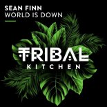 Sean Finn - World Is Down (Extended Mix)