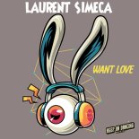 Laurent Simeca - Want Love