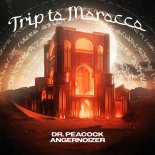 Dr. Peacock & Angernoizer - Trip To Morocco