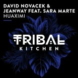 David Novacek, Jeanway, Sara Marte - Huaximi (Extended Mix)