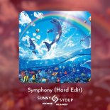 Clean Bandit, Zara Larsson - Symphony (Sunny Sydup Goes Hard Edit)