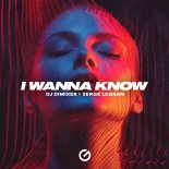 DJ DimixeR & Serge Legran - I Wanna Know