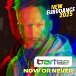 BARTEE - Now Or Never (Single Edit)