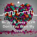 Mr Jay, Joey SLVR - Don't You Want My Love