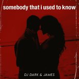 DJ Dark feat. James - Somebody That I Used To Know