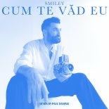 Smiley - Cum Te Vad Eu (Paul Damixie Remix)