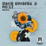 David Novacek, HO:LE - Musica (Extended Mix)