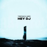 Tungevaag feat. Liamoo - Hey DJ