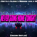 David Guetta & Alesso & Madison Love & HEADER - Never Going Home Tonight (Crucian Bootleg)